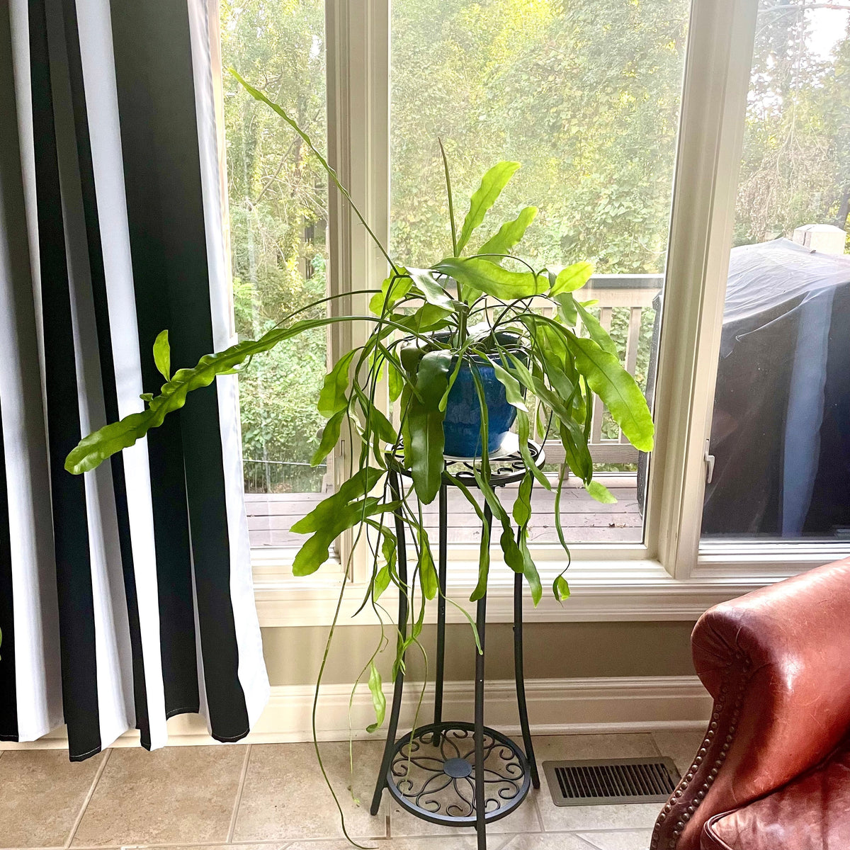 Unexpected Connections • Notes from the Mountain No. 20