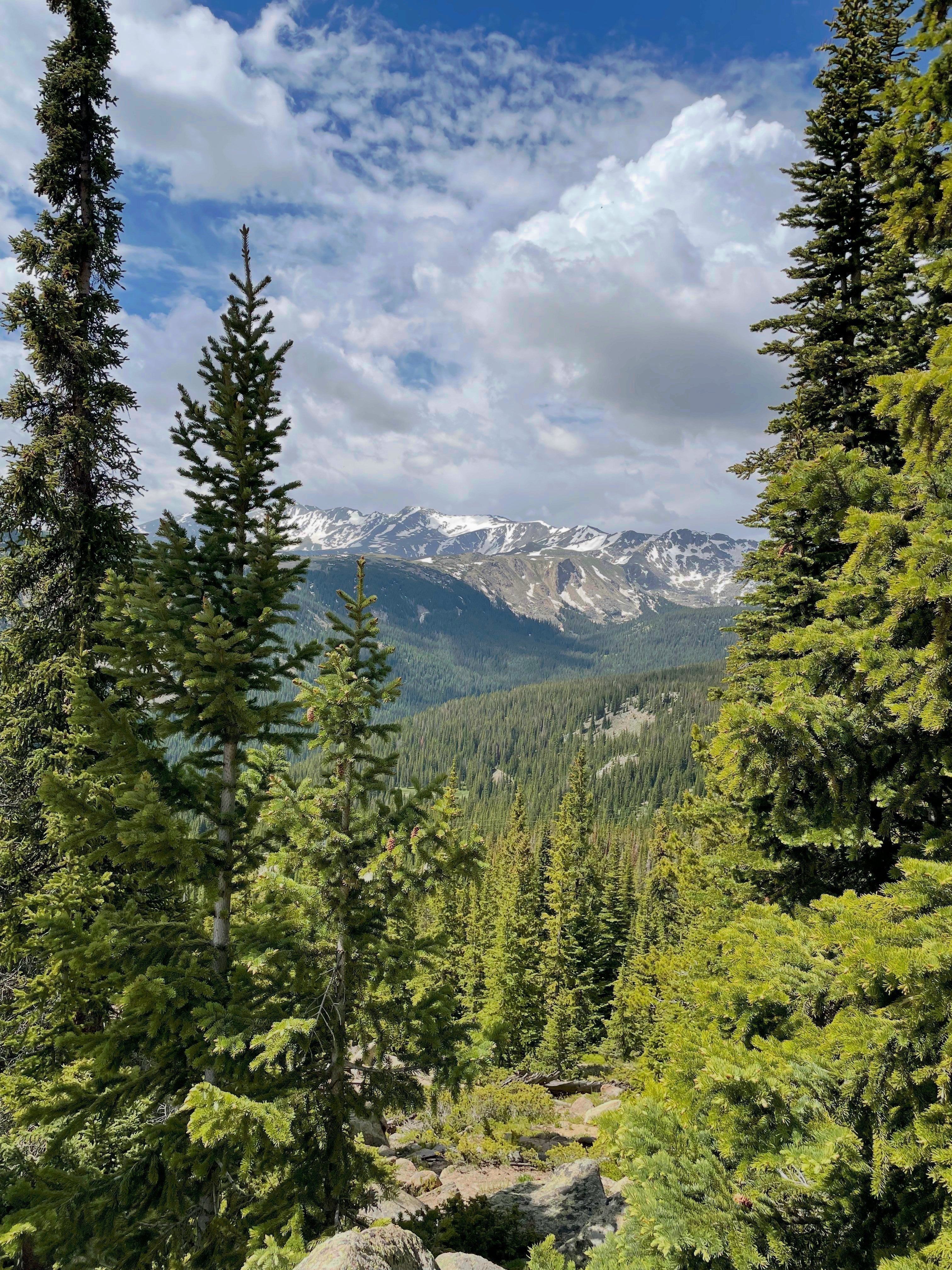 Why I Like Starting in the Dark • Notes from the Mountain