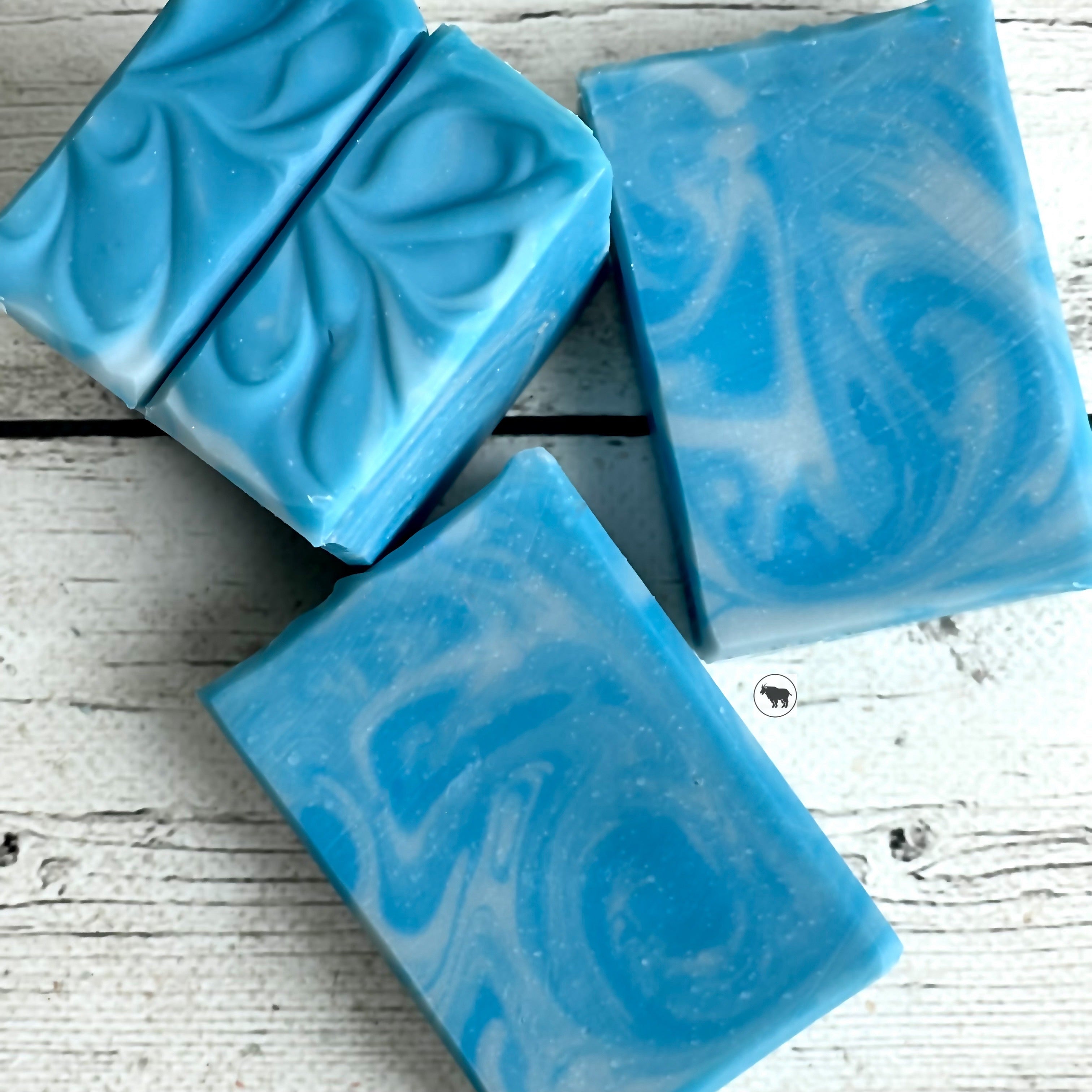 Groovy Dude Soap